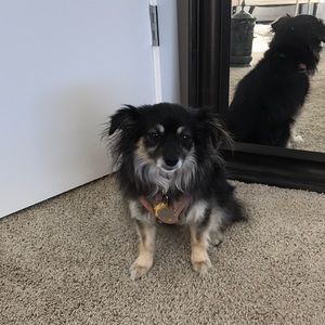 Meet your Posher, Victoria